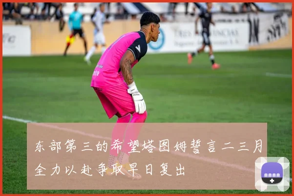 东部第三的希望塔图姆誓言二三月全力以赴争取早日复出