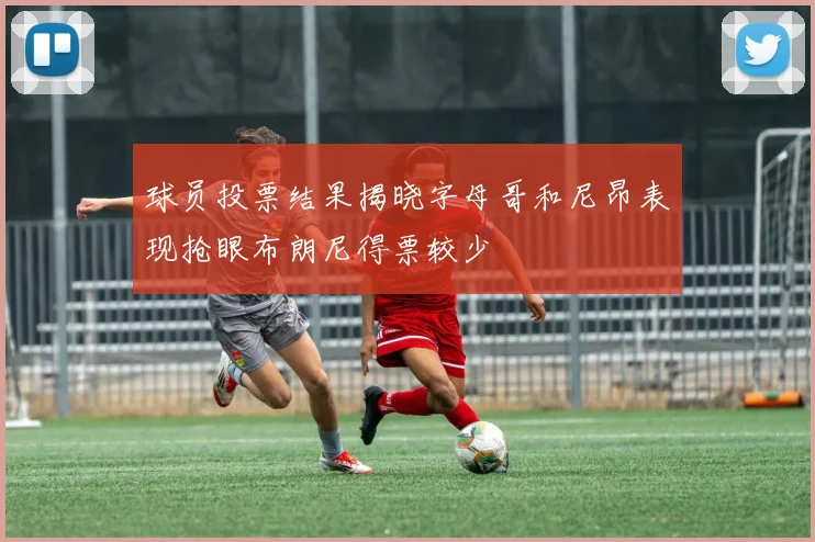 球员投票结果揭晓字母哥和尼昂表现抢眼布朗尼得票较少