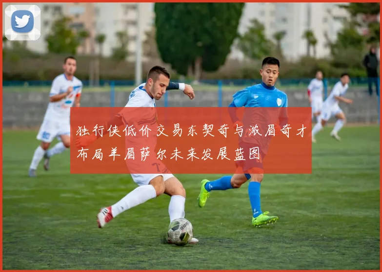 独行侠低价交易东契奇与浓眉奇才布局羊眉萨尔未来发展蓝图